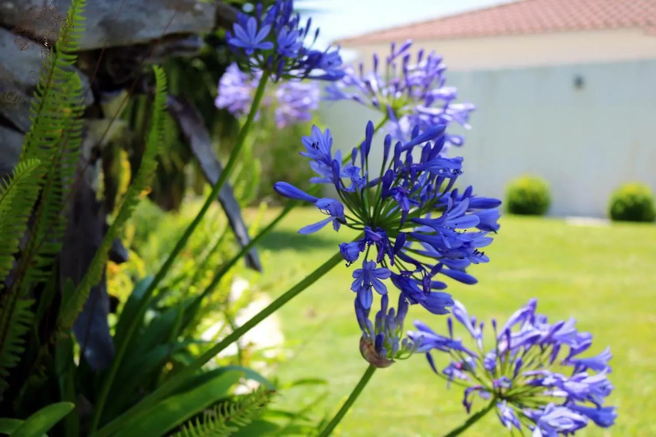 Limmo Garden Hotell Cascais Pensionat
